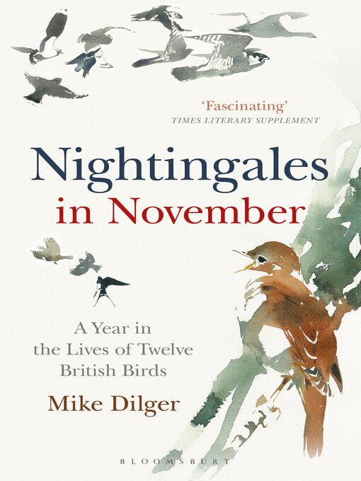 Title details for Nightingales in November by Mike Dilger - Available